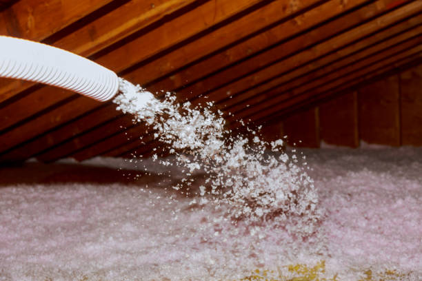 Best Eco-Friendly Insulation in Pine Island Center, FL