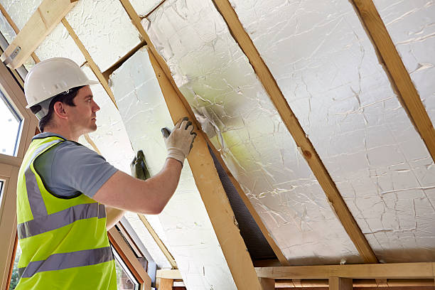 Best DIY Insulation Kits and Guidance in Pine Island Center, FL